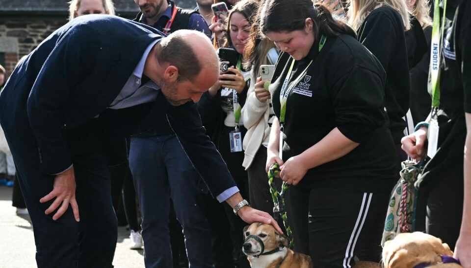 Prins William ses her sammen med nogle af de mange fans, der var mødt op for at få et glimt af ham under besøget på Duchy College Stoke Climsland.