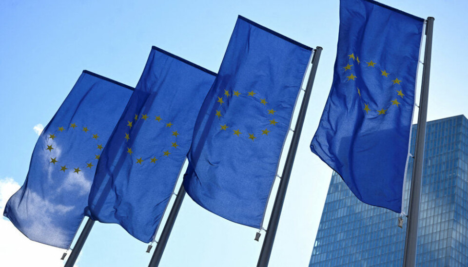 Kerneinflationen i Tyskland ligger fortsat over målet på to procent. Det vil være et opmærksomhedspunkt for ECB og kan bremse rentesænkninger i 2025, hvis det fortsætter, mener økonom.