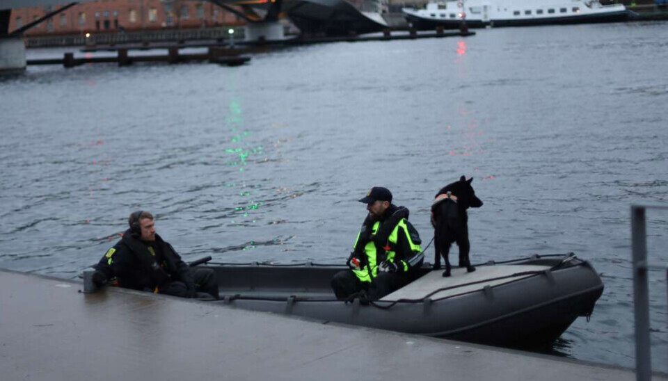 Særlige hunde og dykkere sættes ind i Københavns Havn.