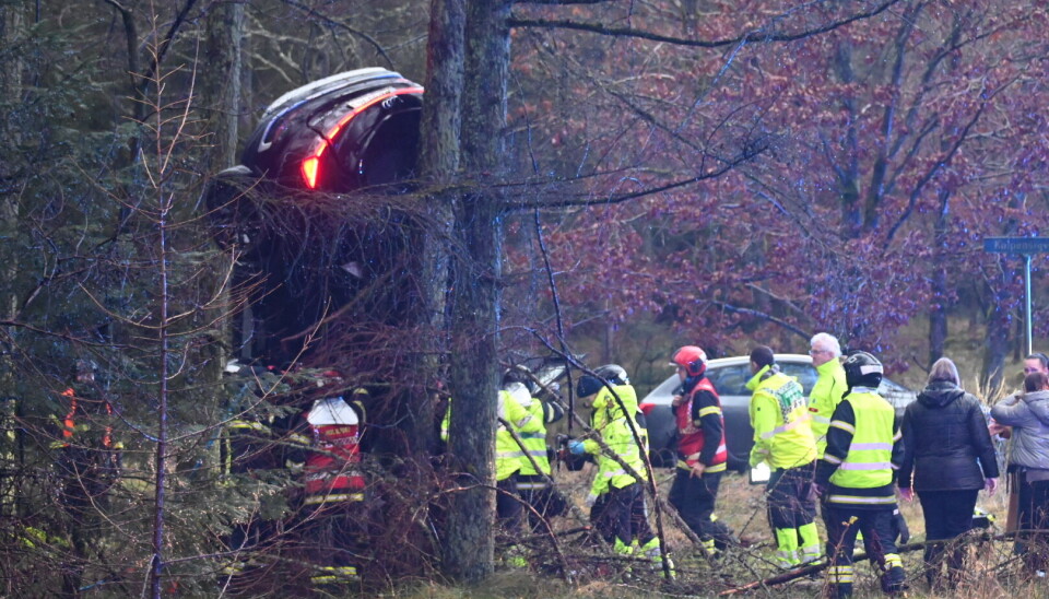 Den forulykkede bil står lodret op af et træ.