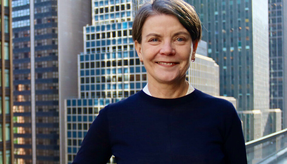 Helle Meinertz har tidligere været stedfortrædende dansk ambassadør i Kina og generalkonsul i München. Nu er hun Danmarks generalkonsul i New York. Mandag 3. marts bliver hun 60 år.