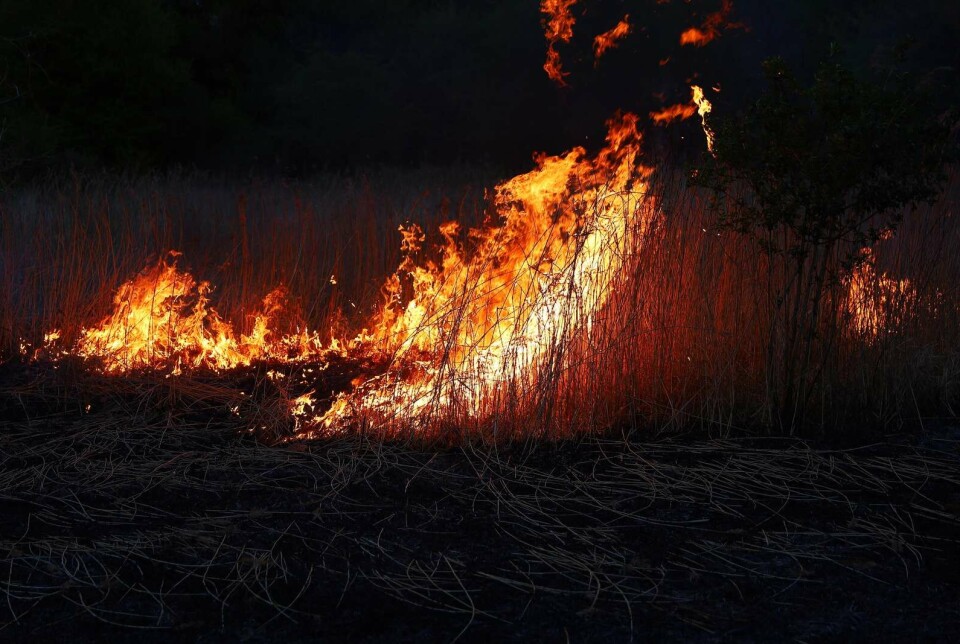 Området står i flammer.
