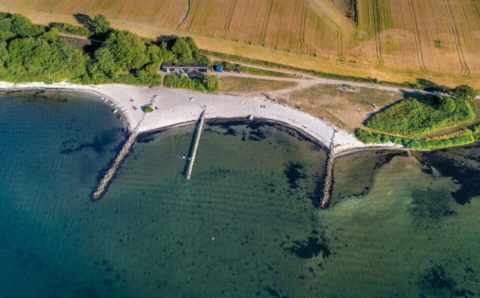 Det er på denne strand i kommunen, at den er gal. OBS: Colourbox-foto sendt ud i pressemeddelelse fra Kolding Kommune i mail og på web.