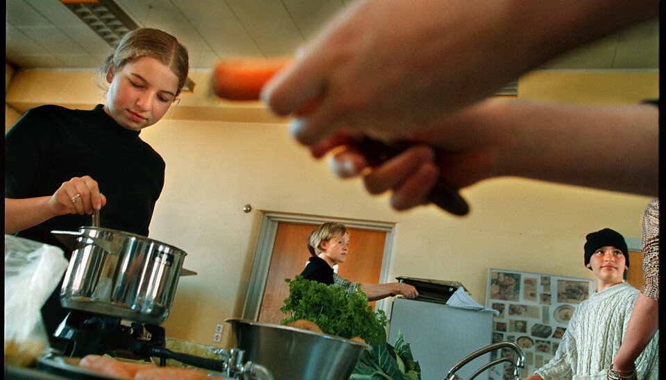 Ifølge en undersøgelse, som Coop har foretaget, hjælper børn markant mindre til med praktiske opgaver i hjemmet sammenlignet med for 15 år siden. (Arkivfoto).