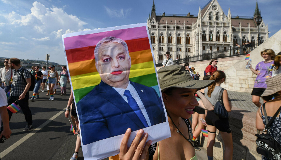 Det er 30. år i træk, at Budapest Pride afholdes. Her ses en deltager med et billede af Viktor Orbán under priden sidste år. (Arkivfoto).