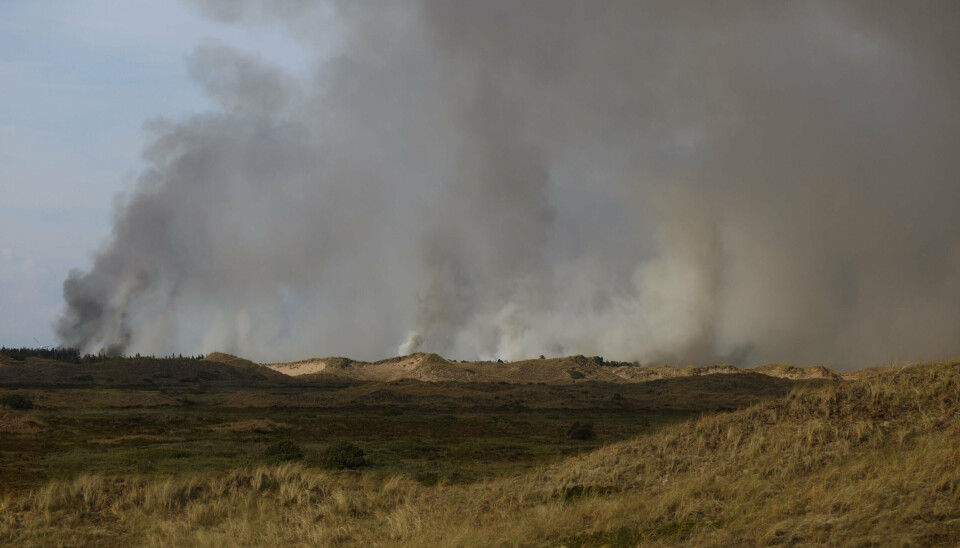 Røgen fra den omfattende plantagebrand kan ses vidt og bredt i området omkring Skagen.