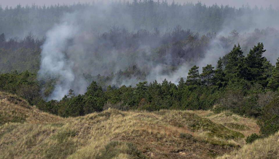 Branden i Skagen Klitplantage, der ligger syd for Skagen, brød ud mandag eftermiddag. (Arkivfoto).