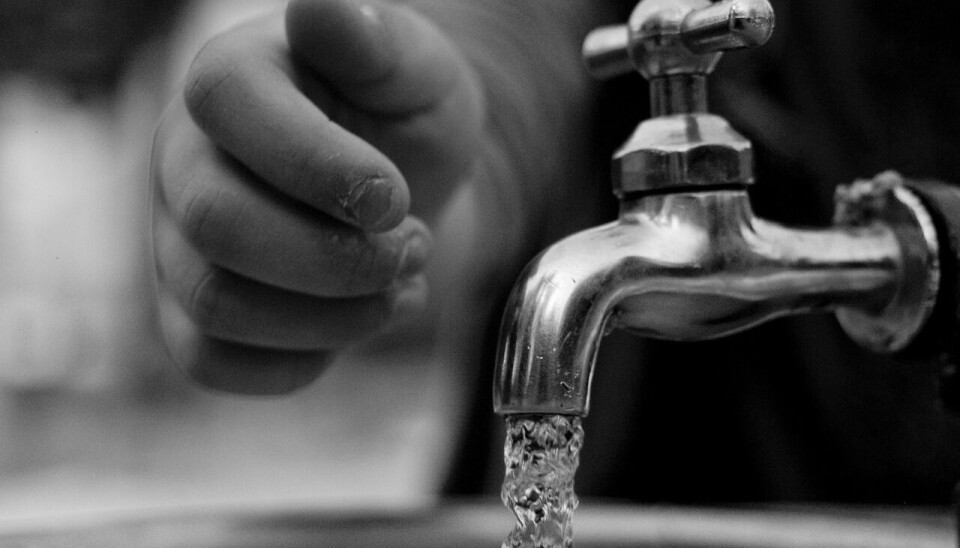 water, also, can, water tap, park, nature, thirst, drinking water