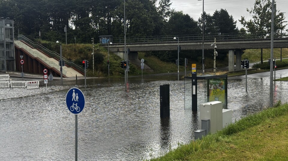 Sådan ser det lige nu ud i Esbjerg i nærheden af byens Bilka.