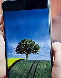 De bedste Samsung-mobiler