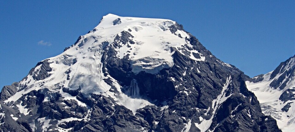 Fem tyskere afgået ved døden