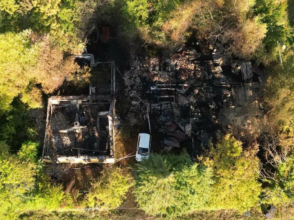 Luftfoto af en mørk, sammenstyrtet struktur omgivet af grøn vegetation og en vej.