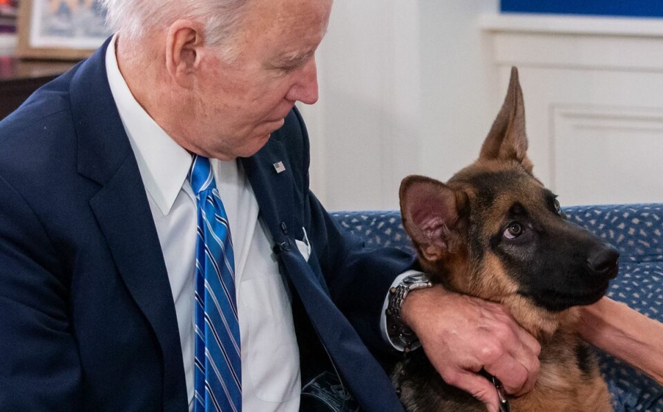 Her ses Joe Biden sammen med sin hund Commander, som har for vane at bide sikkerhedsvagterne. Arkivfoto).