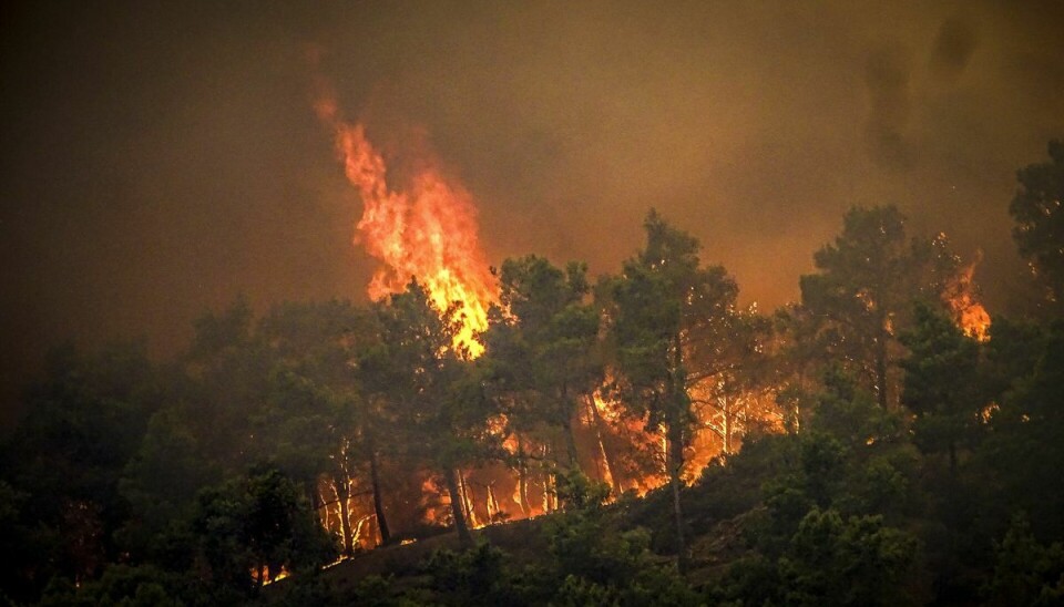 Voldsomme flammer omspænder øen, som lige nu er præget af naturbrande.
