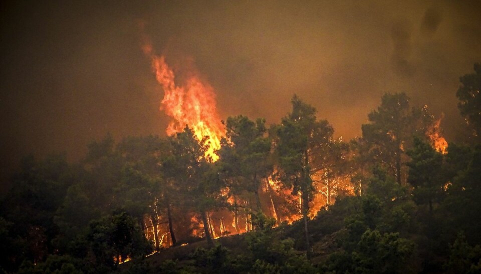 Voldsomme flammer omspænder øen, som lige nu er præget af naturbrande. Voldsomme flammer omspænder øen, som lige nu er præget af naturbrande.