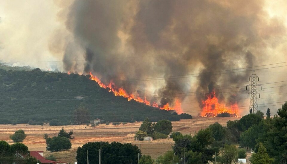 Røg stiger op fra en naturbrand som har spredt sig i området nær Athen.