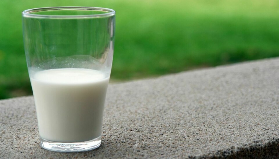 Priserne begynder nu at gå den anden vej på flere råvarer - blandt andet mælk.