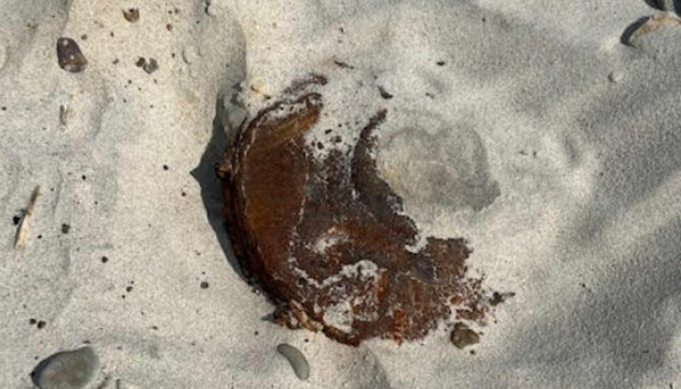 Minen har muligvis ligget og hygget sig på stranden siden 2. verdenskrig, men den kan stadig være farlig. Minen har muligvis ligget og hygget sig på stranden siden 2. verdenskrig, men den kan stadig være farlig.
