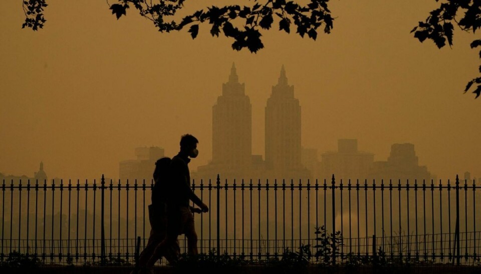 I Central Park i New York går folk med masker for at mindske inhalering af røgen. I Central Park i New York går folk med masker for at mindske inhalering af røgen.