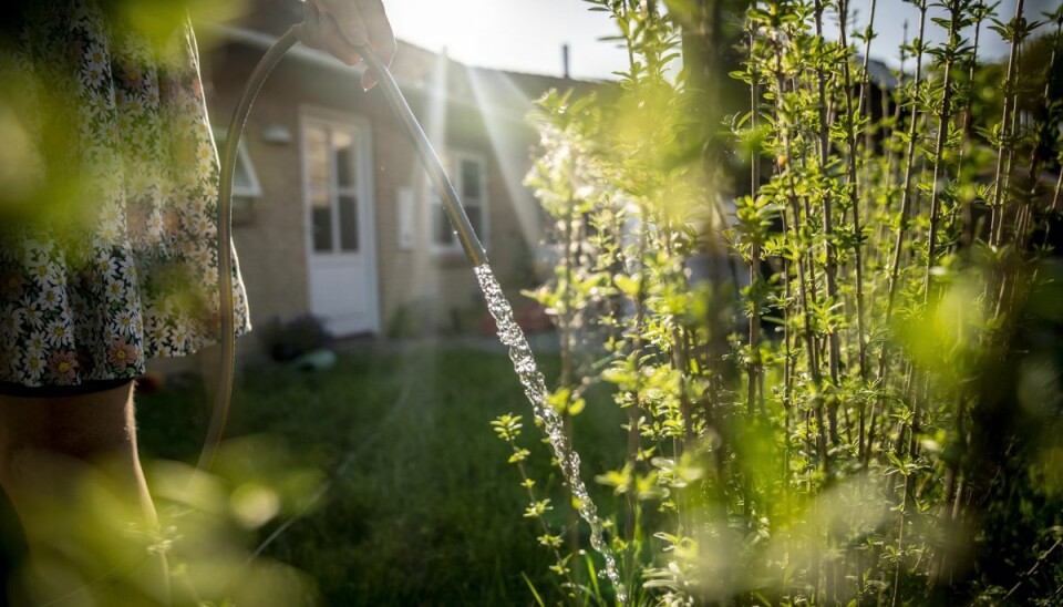 Temperaturen kan snige sig helt op på 29 grader i weekenden.