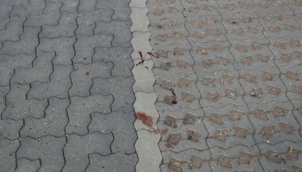 Blod på fliserne foran Sparkøbmanden vidner om, at nogen er kommet til skade. Blod på fliserne foran Sparkøbmanden vidner om, at nogen er kommet til skade.