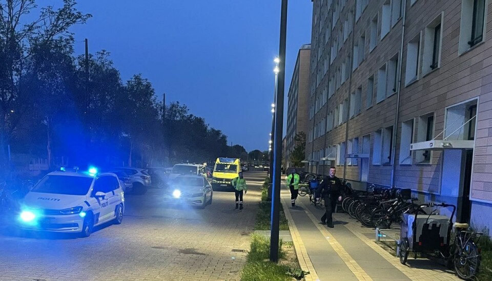 En blot 12-årig dreng har været udsat for knivstikkeri. En blot 12-årig dreng har været udsat for knivstikkeri.