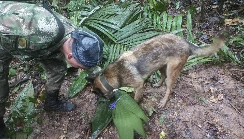 På billeder offentliggjort af militæret kan man se en saks og et hårbånd iblandt grene på junglebunden.