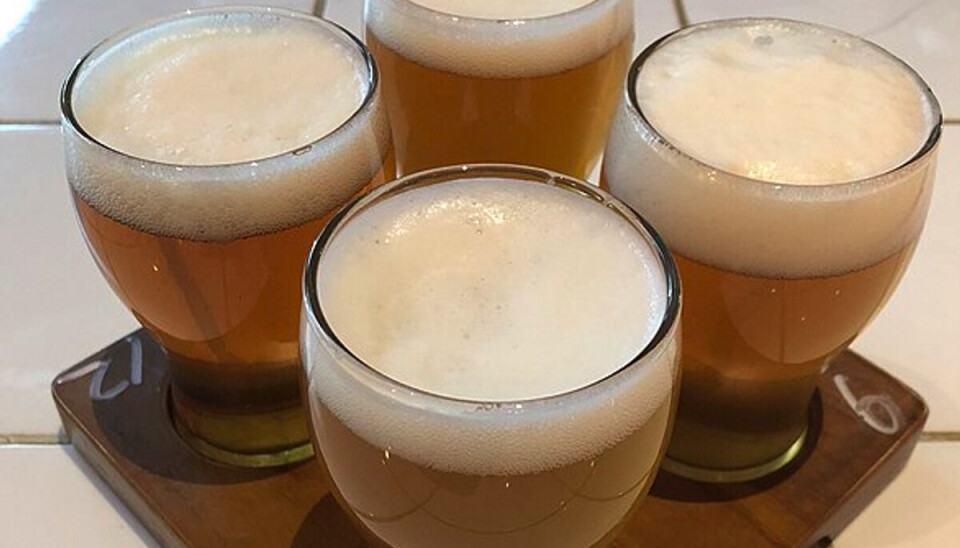 Der er stor forskel på, hvad alkohol-anbefalingen er i Danmark og Norge Der er stor forskel på, hvad alkohol-anbefalingen er i Danmark og Norge