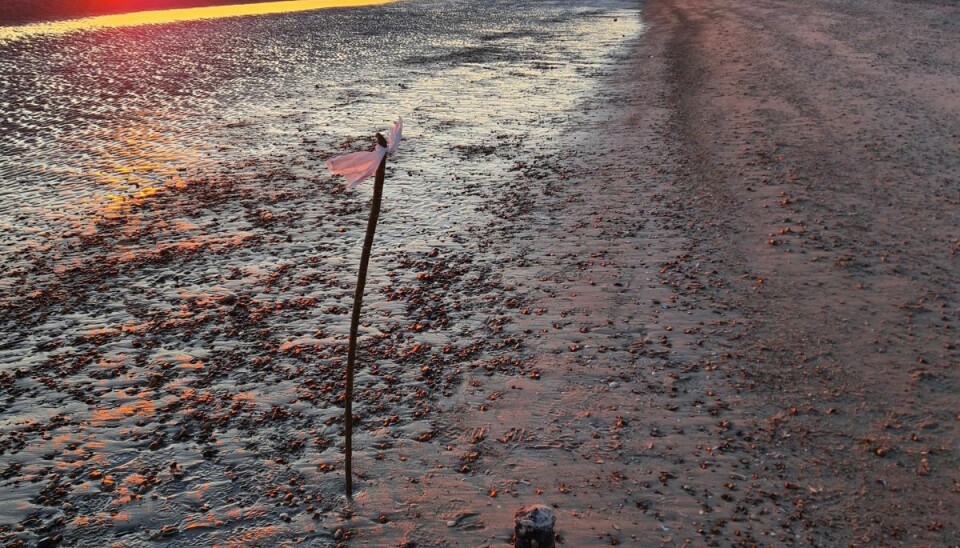 Det var denne mine en strandgæst fandt - og som mandag morgen er blevet sprængt i stykker. Det var denne mine en strandgæst fandt - og som mandag morgen er blevet sprængt i stykker.