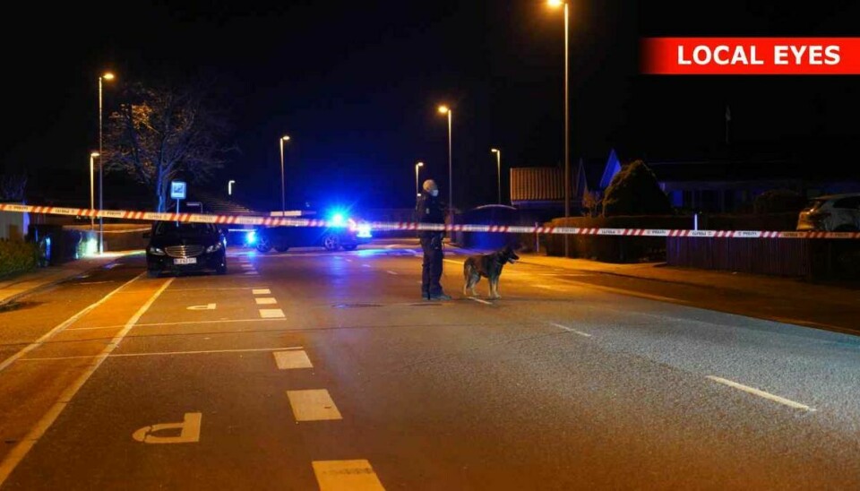 Der blev søgt med hunde efter skudepisoden i Odense-bydelen Seden.