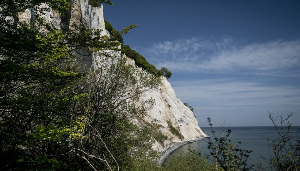 Der er lørdag sket en ulykke ved Møns Klint. En turist faldt ud over klinten og afgået ved døden. (Arkivfoto).