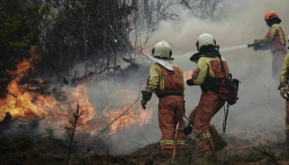 Brandfolk i regionen Asturien i det nordvestlige Spanien forsøger at slukke en af de mange brande, der i de seneste dage har hærget området.