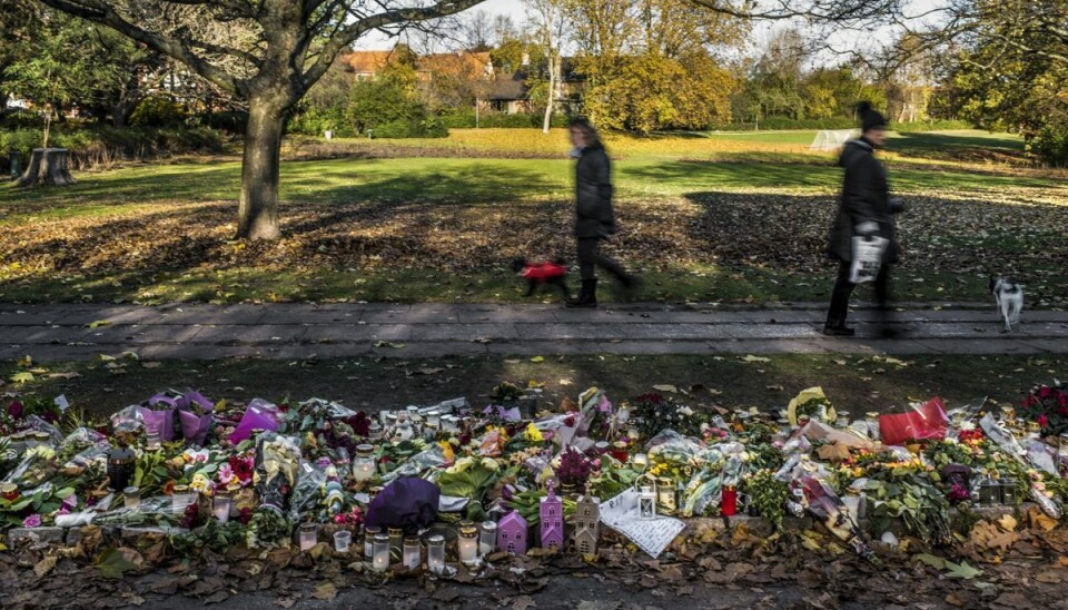 Gravide Louise Borglit blev stukket ihjel i Elverparken den 4. november 2016, da hun var ved at lufte sin søsters hund. En i dag 30-årig mand er tiltalt for drabet. Han nægter sig skyldig. (Arkivfoto). Gravide Louise Borglit blev stukket ihjel i Elverparken den 4. november 2016, da hun var ved at lufte sin søsters hund. En i dag 30-årig mand er tiltalt for drabet. Han nægter sig skyldig. (Arkivfoto).