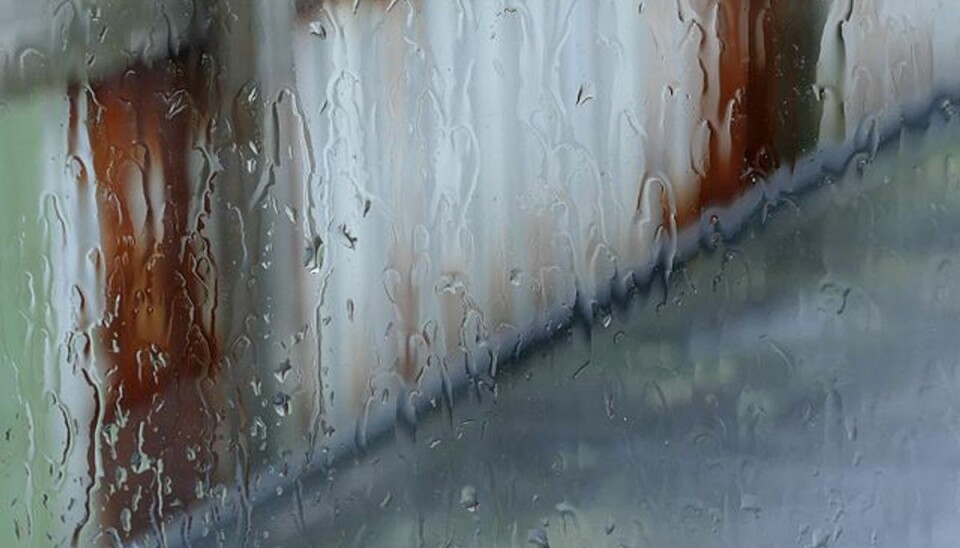 Der kan falde 5-15 millimeter regn - lokalt mere. (Arkivfoto). Der kan falde 5-15 millimeter regn - lokalt mere. (Arkivfoto).