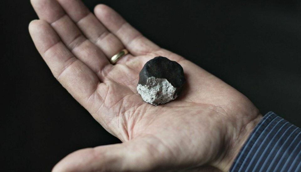 En meteorit er cirka 50 millioner år ældre end Jorden og kan derfor give information om dengang, planeterne blev dannet. Henning Haack, lektor ved ved Statens Naturhistoriske Museum og ansvarlig for statens meteroitsamling, viser her meteoritten fra Ejby mandag d. 8. februar 2016 på Naturhistorisk Museum. (Arkivfoto).