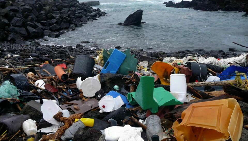Plastik i større fraktioner er et kæmpeproblem over hele kloden og er til fare for fugle og havpattedyr. Til gengæld mener forskere fra Danmarks Tekniske Universitet (DTU) at kunne lægge bekymringen for bittesmå mikroplastpartikler i havmiljøet og fødekæden ned.