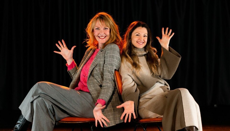 Louise Mieritz og Ditte Hansens professionelle parløb begyndte i 2007, efter at de spillede sammen i forestillingen 'Kvindernes hævn'. I 2015 havde deres selvbetitlede univers, 'Ditte & Louise', premire på DR. (Arkivfoto). Louise Mieritz og Ditte Hansens professionelle parløb begyndte i 2007, efter at de spillede sammen i forestillingen 'Kvindernes hævn'. I 2015 havde deres selvbetitlede univers, 'Ditte & Louise', premire på DR. (Arkivfoto).