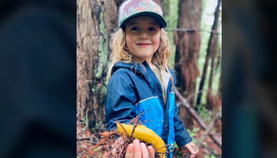 Den femårige Jack har kradsmærker og sår efter kampen, men er ikke kommet alvorligt til skade. Den femårige Jack har kradsmærker og sår efter kampen, men er ikke kommet alvorligt til skade.