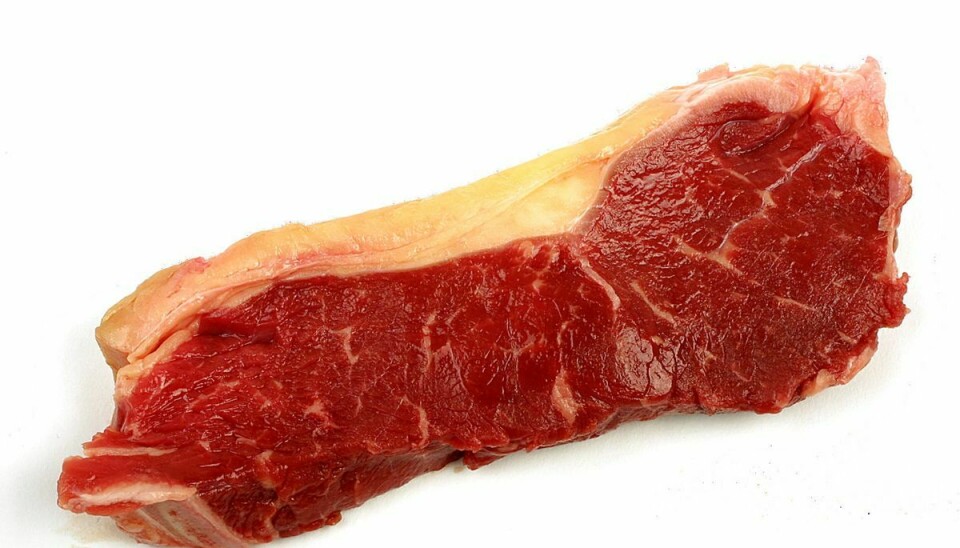 Der var 13 år gammelt kød blandt de 250 ton gammelt kød.