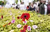 AGF-fans lægger blomster foran Tivoli Friheden søndag den 24. juli 2022. AGF har på opfordring fra flere fans arrangeret en markering ved Tivoli Friheden, hvor fodboldfansene lægger hvide gerbera til minde om den 14-årige pige, der mistede livet i rutsjebanen Cobraen.