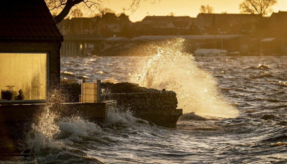 I januar ramte stormen Malik Danmark, og det udløste mange vejrskader på danske boliger. Her et hus i Roskilde Fjord, som gik over sine bredder, da Malik pressede vandet ind i fjorden.