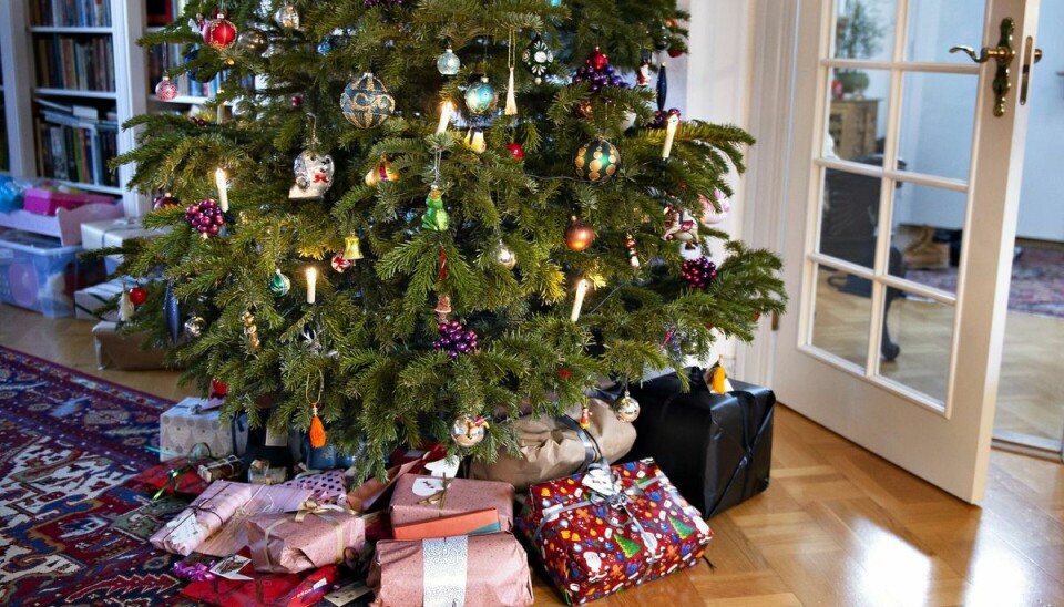 Juletræet kan være fyldt med 'snavs', der kan give helbredsmæssige problemer.