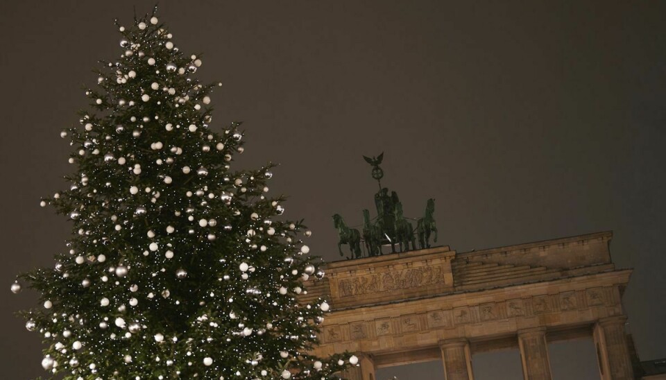 Et stort pyntet juletræ er blevet fældet af vandaler i en nordvest tysk by. På billedet ses juletræet på Pariserplatz i den tyske hovedstad, Berlin. (Arkivfoto).