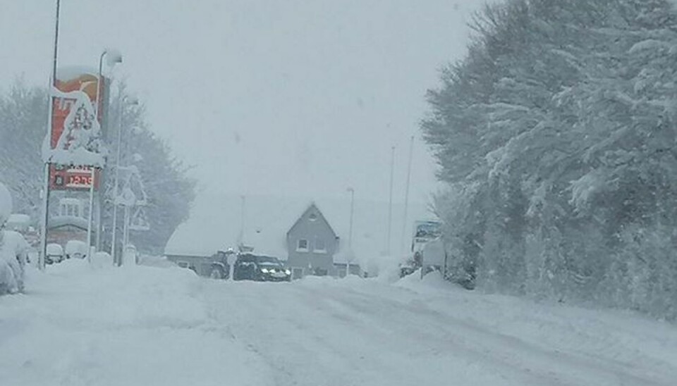 Hvis man ikke har et uopsætteligt ærinde, så lad bilen stå.