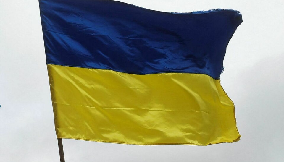 Ukraines ambassader i Ungarn, Polen, Kroatien og Italien har fået tilsendt dyreøjne i tilsølede pakker. Ukraine er ved at undersøge hvorfor.