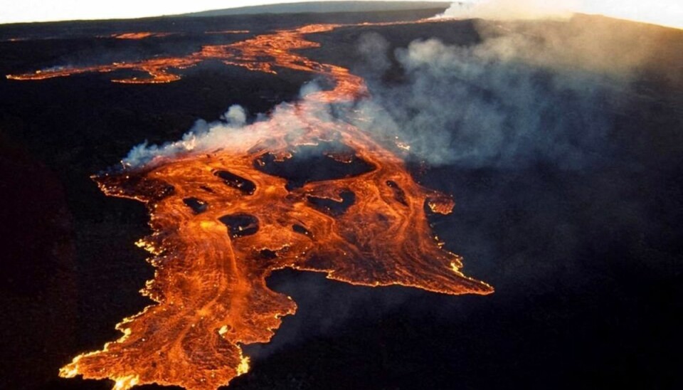 Lavaen bliver indtil videre oppe på toppen af Mauna Loa.