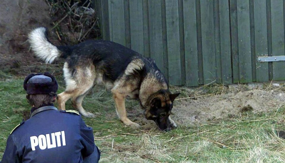En hundepatrulje fandt den forkomne kvinde. (Arkivfoto)