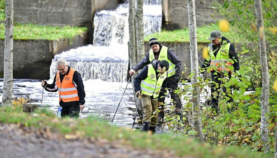 Her ses frivillige lede efter den 21-årige kvinde. Hun blev fundet i et svensk skovområde onsdag eftermiddag.