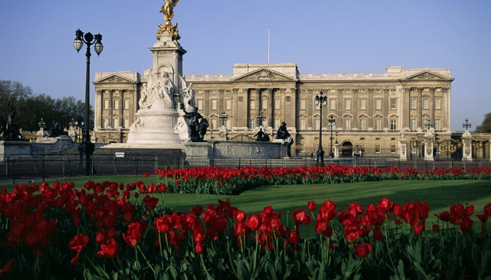 Buckingham Palace set fra havesiden. Buckingham Palace set fra havesiden.