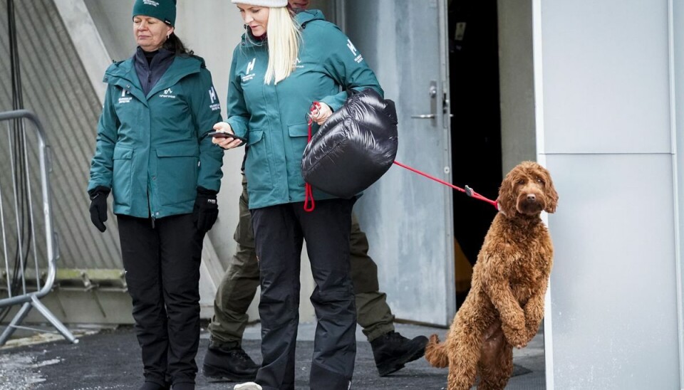 Det er slut og så kan Molly Fiskebolle tilsyneladende ikke komme hurtigt nok hjem.